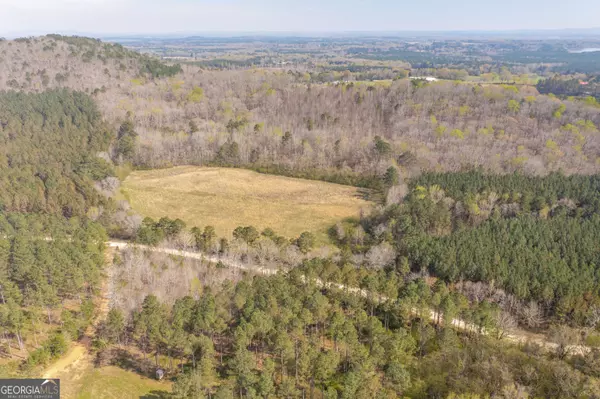 Cedar Bluff, AL 35959,25 ACRES County Road 80