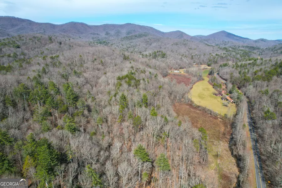 0 Boardtown Road - TRACT 1, Cherry Log, GA 30522