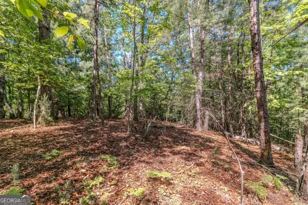 Mineral Bluff, GA 30559,LOT 87 Valley Lake TRL