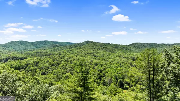 Cherry Log, GA 30522,101 Valley Overlook