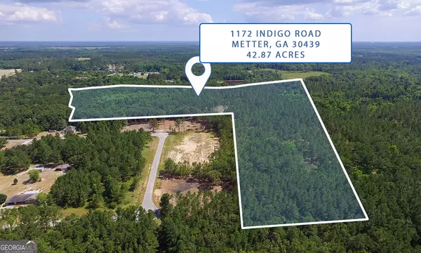 Metter, GA 30439,1172 Indigo Road