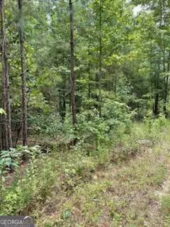 Eastman, GA 31023,0 Robert Rozier Rd ( Lot E)