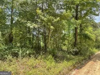 Eastman, GA 31023,0 Gooch Rd (Lot F)