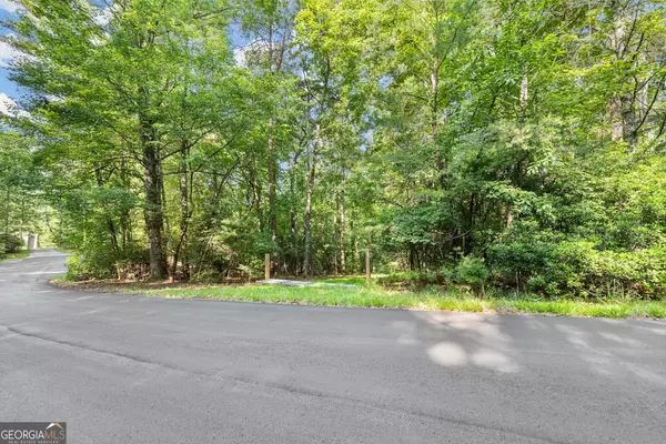 Cleveland, GA 30528,0 Mill Creek TRL #LOT 35