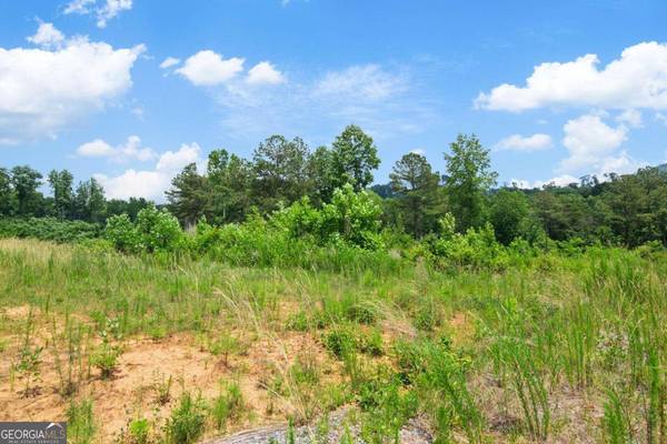 LOT 196 Oak Park Dr, Talking Rock, GA 30175