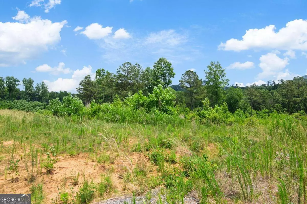 Talking Rock, GA 30175,LOT 196 Oak Park Dr