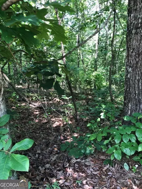 Demorest, GA 30535,LOT 1 Daniel Road