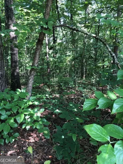 Demorest, GA 30535,LOT 3 Daniel Road