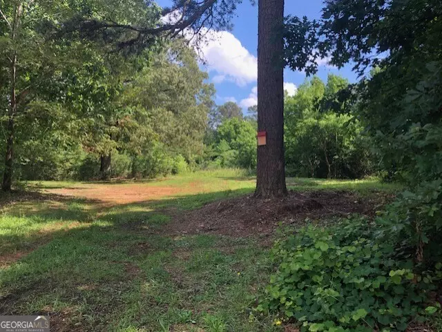 LOT 6 Highway 17, Demorest, GA 30535