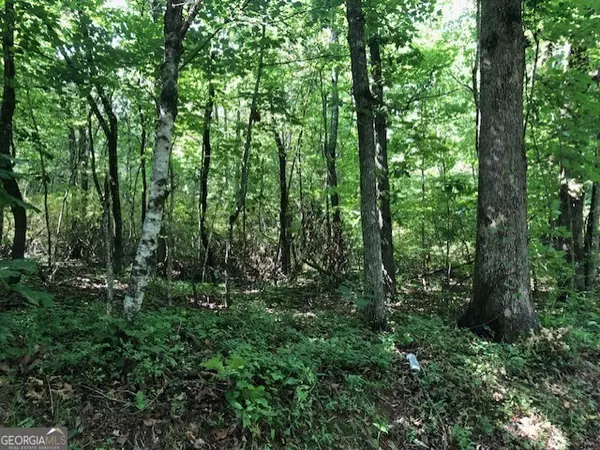 Demorest, GA 30535,LOT 9 Daniel Road