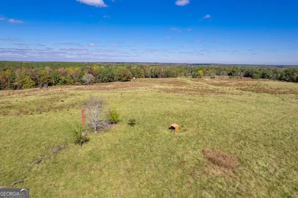 Madison, GA 30650,LOT 9 Wallace RD