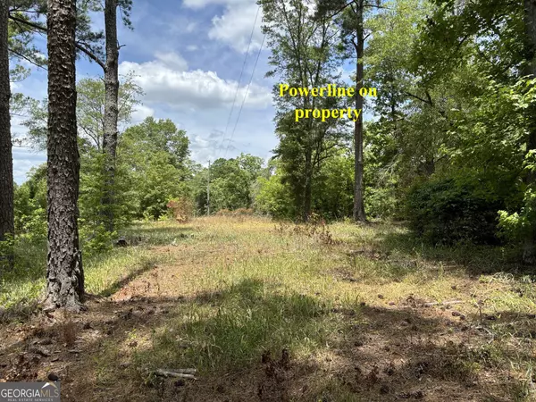 Warrenton, GA 30828,942 Wilson RD