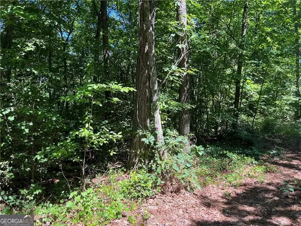 Dahlonega, GA 30533,LOT 2 River Highlands RD