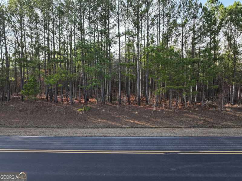 0 Thompson Road #LOT 200, Franklin, GA 30217