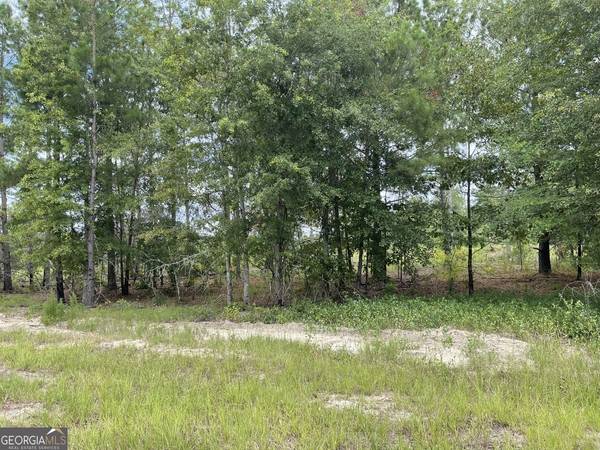 0 Gooch Rd (Lot G) / R Rozier Rd (Lot H),  Eastman,  GA 31023