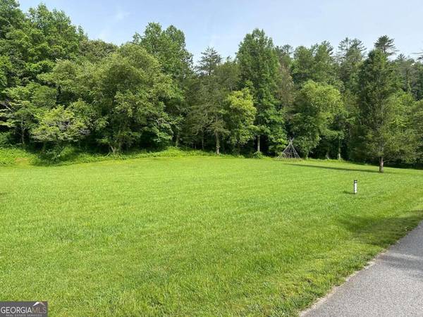 Warne, NC 28909,LOT 44 Prosperity DR