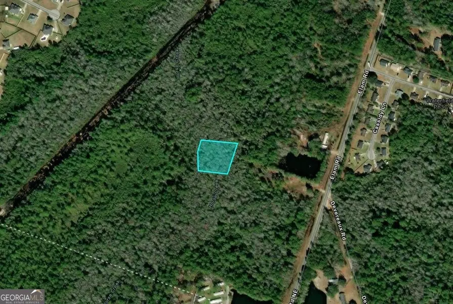 1.17 ACRES Elam RD, Hinesville, GA 31313