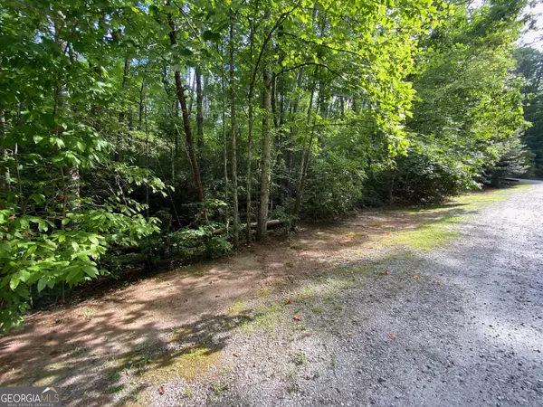 0 Sara LN #LOT 6, Sautee Nacoochee, GA 30571