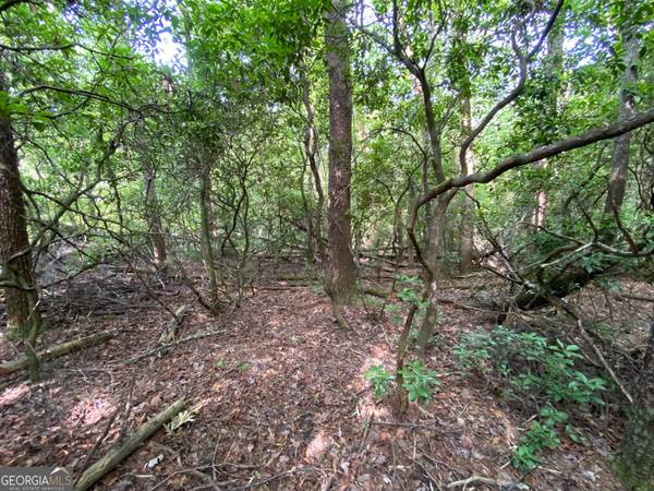 Sautee Nacoochee, GA 30571,0 Sara LN #LOT 6