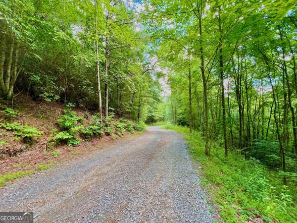 00 Bryant Farm LN, Ellijay, GA 30540