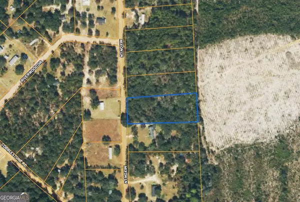 Douglas, GA 31535,26 Riverwood Lot