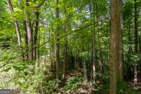 Rabun Gap, GA 30568,12 Walnut Mountain Road