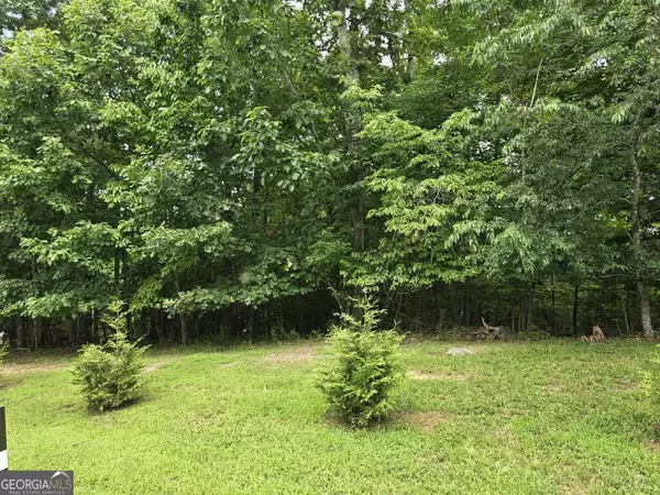 Blairsville, GA 30512,LOT 149 The Mountain