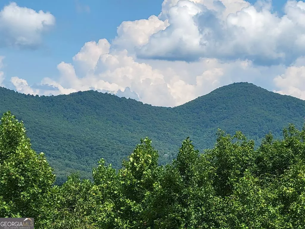 Blairsville, GA 30512,LOT 149 The Mountain