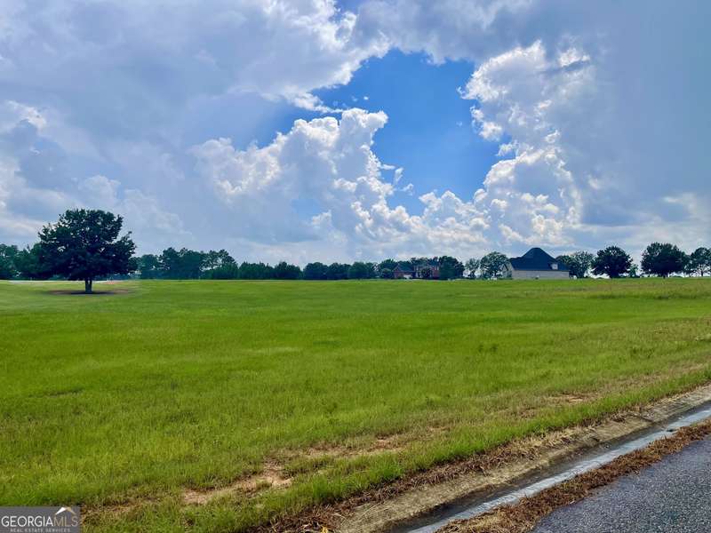 LOT 44 Crabbapple DR, Hawkinsville, GA 31036