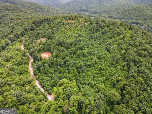 Hiawassee, GA 30546,0000 Tom Wheeler RD