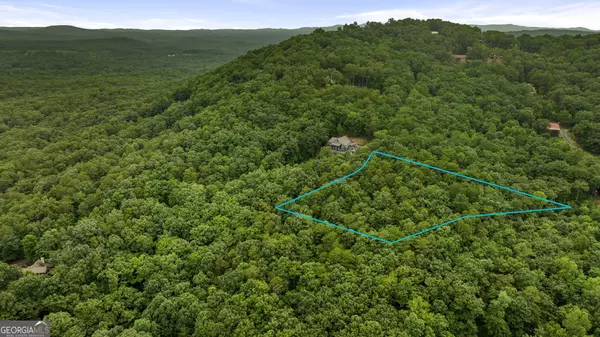 Ellijay, GA 30536,LOT 58 Cherokee Circle