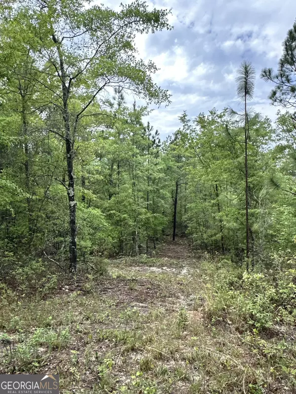 Jesup, GA 31545,TRACT 2 Red Hill RD