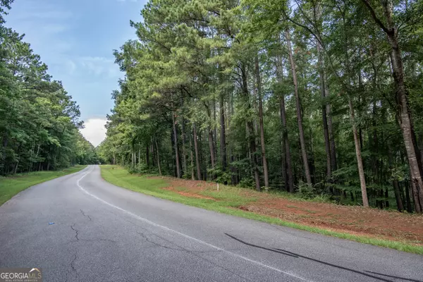 Greensboro, GA 30642,1131 Sunset Overlook