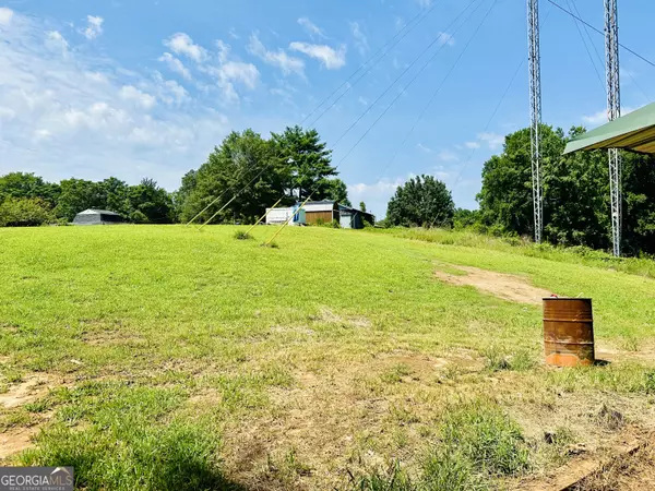 Loganville, GA 30052,4199 Wagon TRL