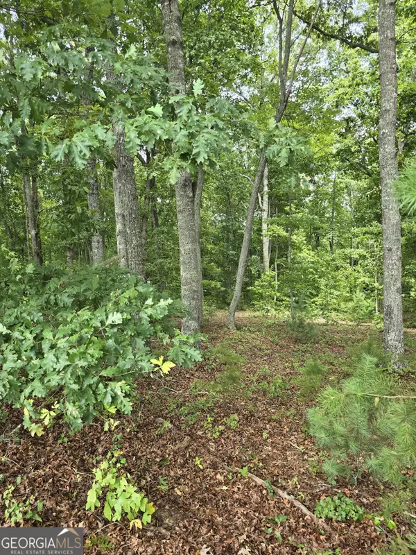 Blairsville, GA 30512,LOT 57 Arden Acres