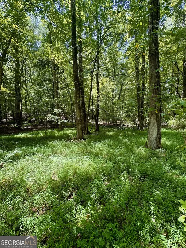 Buckhead, GA 30625,1.05 ACRES HEIDI TRL