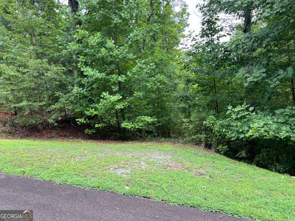 Ellijay, GA 30540,000 Harris Creek DR