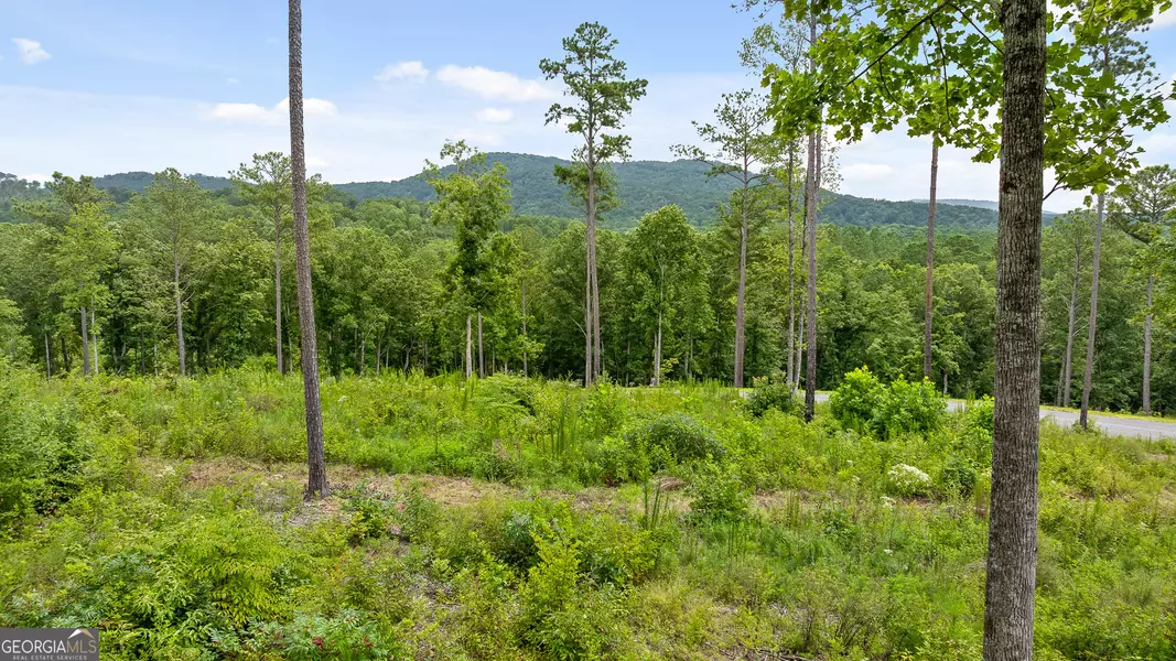 LOT 345 Timber Creek TRL, Talking Rock, GA 30175