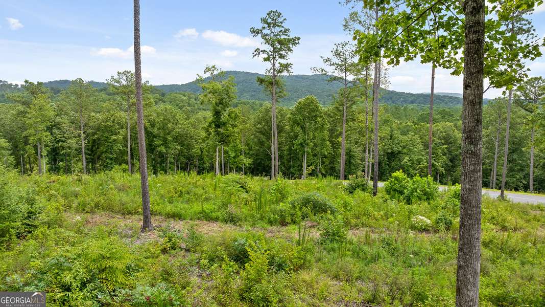 LOT 345 Timber Creek TRL, Talking Rock, GA 30175