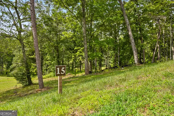 Blue Ridge, GA 30513,LT 15&16 Bearden Farm Overlook