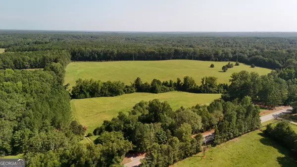 0 Highway 109 #43.41 ACRES, Meansville, GA 30256