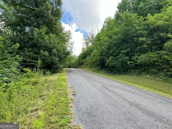 Hayesville, NC 28904,LOT 73M Ridges Overlook