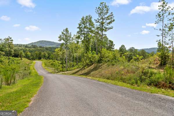 Talking Rock, GA 30175,LOT 206 Oak Park DR