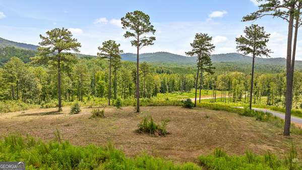 LOT 206 Oak Park DR, Talking Rock, GA 30175