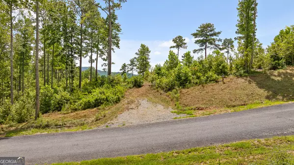 Talking Rock, GA 30175,LOT 206 Oak Park DR