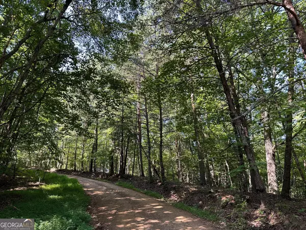 Mineral Bluff, GA 30559,LOT 5 Bear Mountain Pass