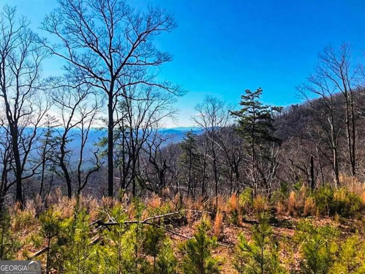 Dahlonega, GA 30533,00 Coopers Gap Road RD