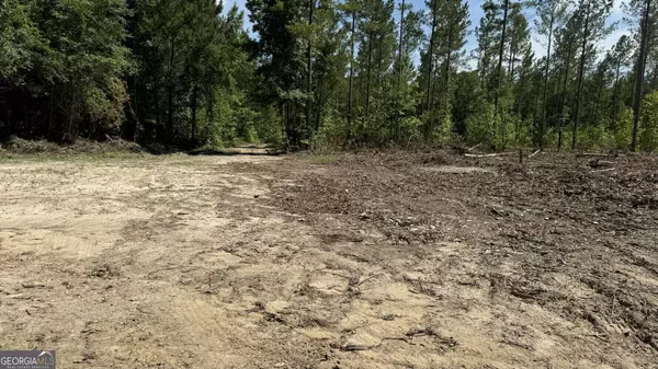 Opelika, AL 36804,0 County Road 138 #LOT 7