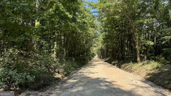 Opelika, AL 36804,0 County Road 138 #LOT 7