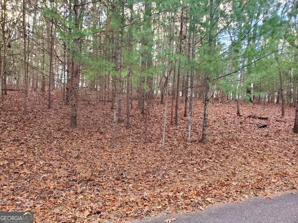 Blairsville, GA 30512,LOT 42 Arrowood Pointe